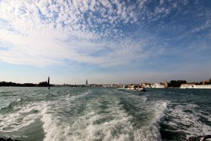 img_5451-copia